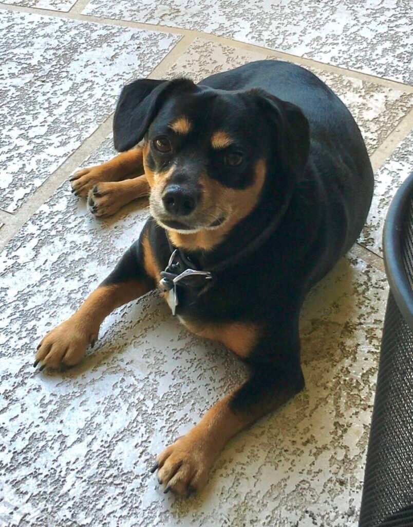 2015-09-25 112122-1_Original • Wes Armstrong